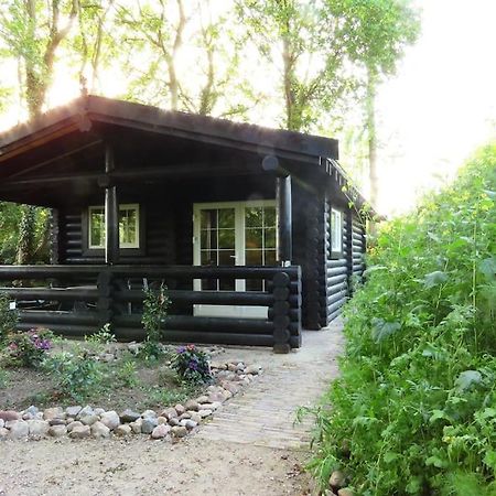 Knusse En Gezellige Blokhut De Bijenstal Villa Dedemsvaart Exterior photo